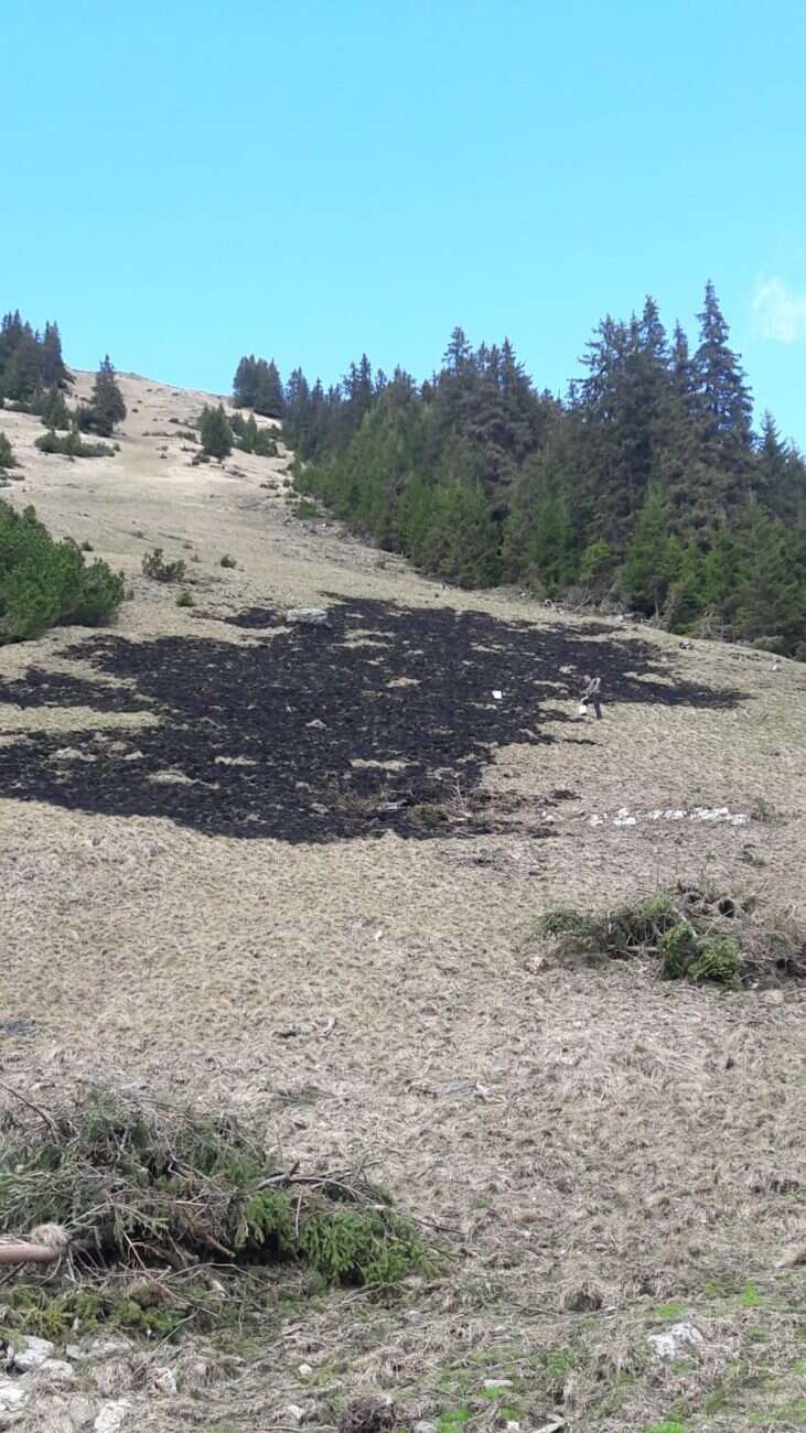 Flächenbrand Alpe Gafluna