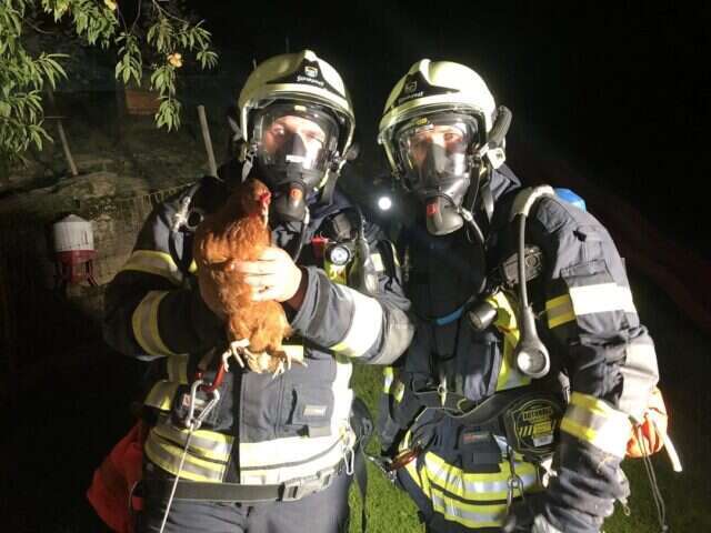 Stallgebaeude auf der Motta in Brand geraten 6 6