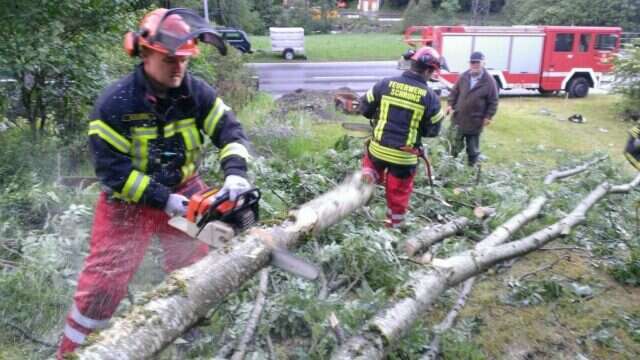 Holzfaellerarbeiten 1 5