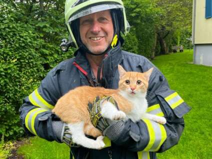 Feuerwehr Schruns Katze auf Baum