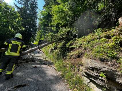 Feuerwehr Schruns Baum verlegt Straße
