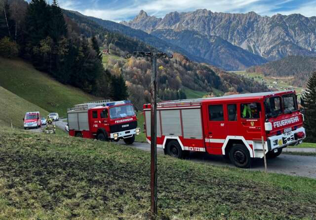 Feuerwehr Schruns 2024 Holzerunfall Bitschweil