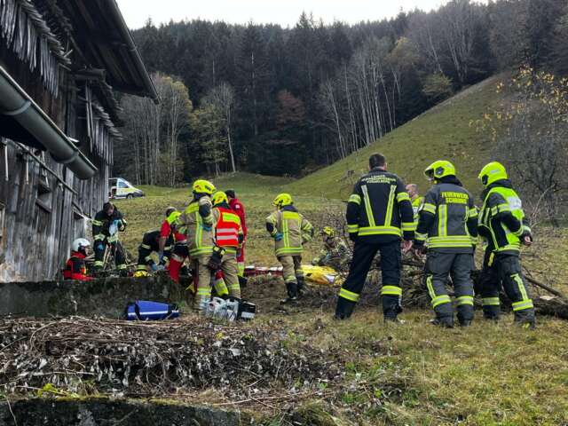 Feuerwehr Schruns 2024 Holzerunfall Bitschweil