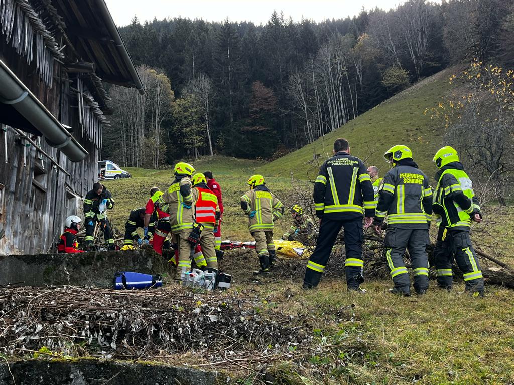 Feuerwehr Schruns 2024 Holzerunfall Bitschweil