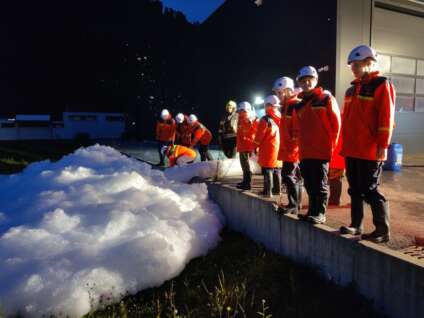 Probe - Schaumarten x/5