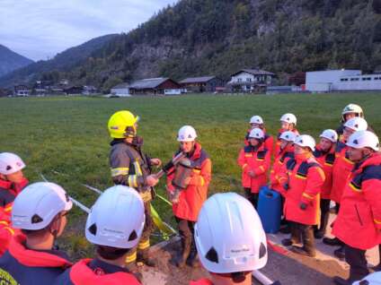 Probe - Schaumarten x/5