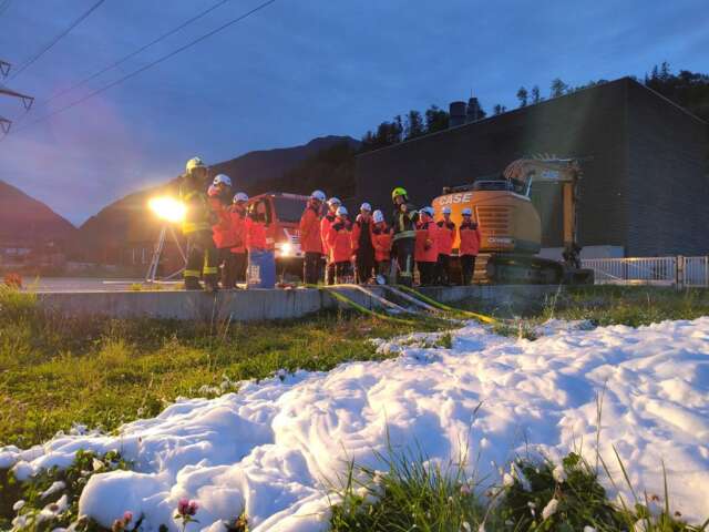 Probe - Schaumarten x/5