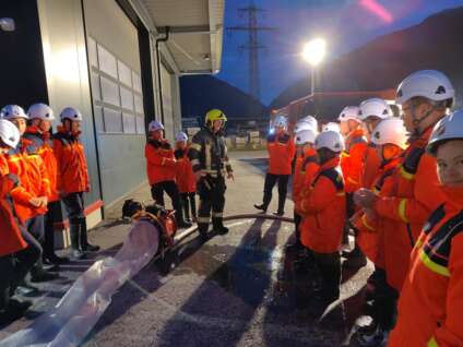 Probe - Schaumarten x/5